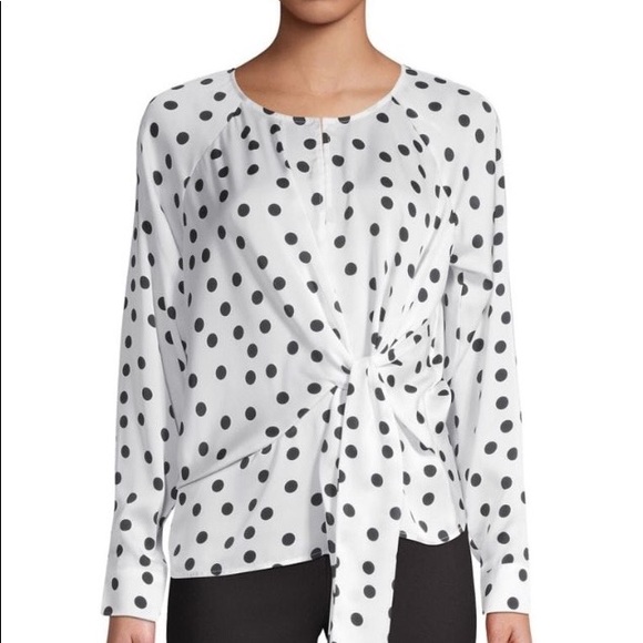 Suitable For Work tie front polka dot blouse - Picture 2 of 8